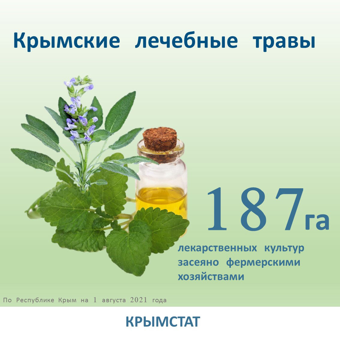 Лекарственные растения Крыма