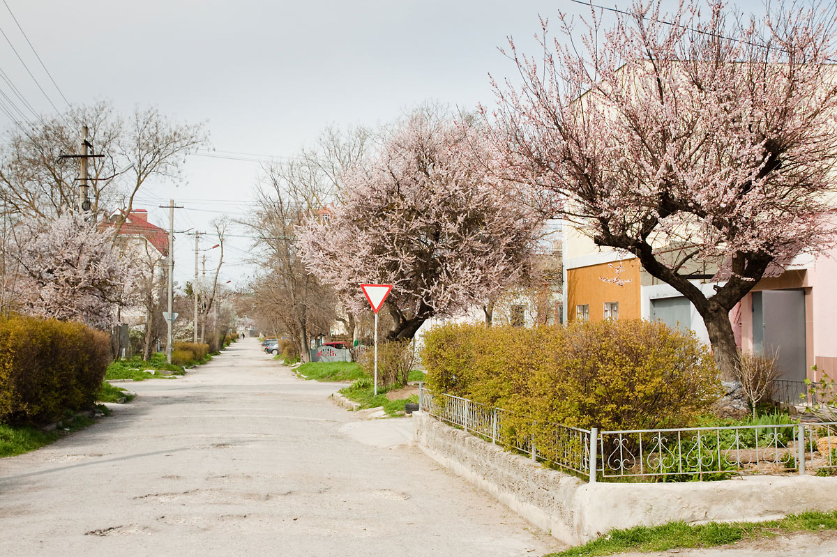 Картинки евпатория весна