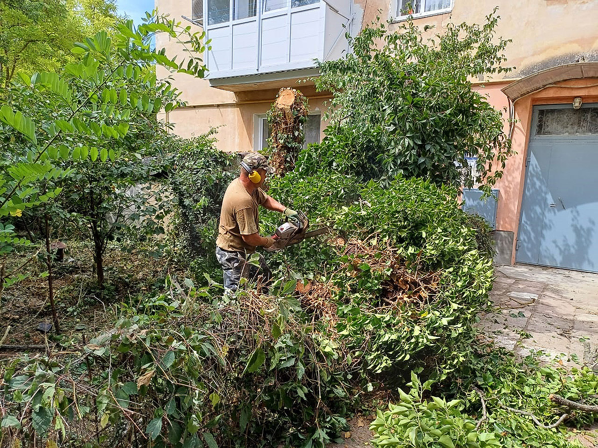 Евпаторийская здравница :: Новости » Службы города » Начистоту про чистоту